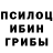 Псилоцибиновые грибы Psilocybe Asdert Spider