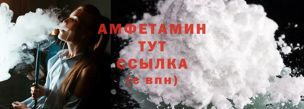 индика Костерёво