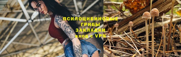 соль ск Ладушкин
