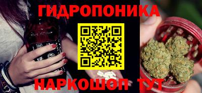 хмурый Тула