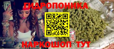 хмурый Тула