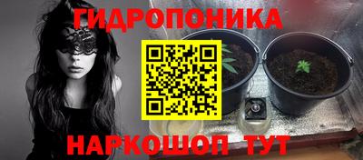 apvp Балашиха