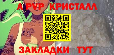 хмурый Тула