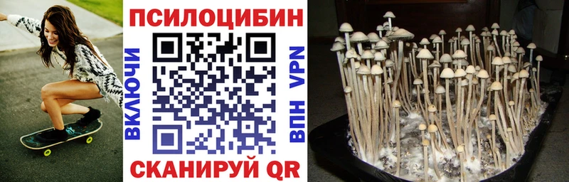 Псилоцибиновые грибы MAGIC MUSHROOMS  где найти наркотики  Темрюк 