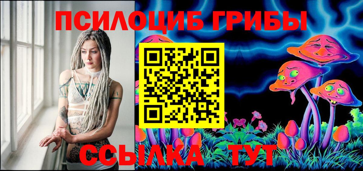 Псилоцибиновые грибы Cubensis  цена наркотик  Темрюк  Вход с VPN 