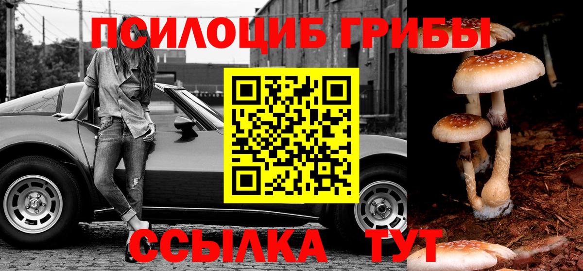 Псилоцибиновые грибы Cubensis  где можно купить   Темрюк 