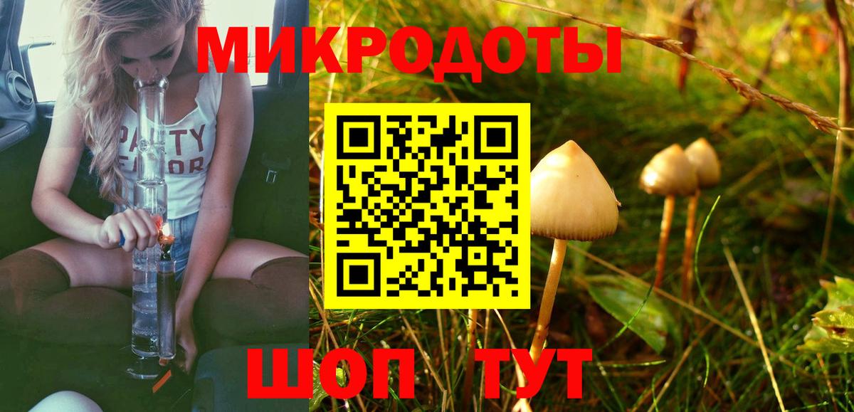 Галлюциногенные грибы Cubensis Темрюк